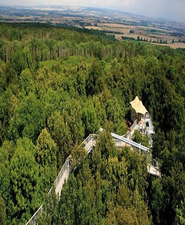 Schwanen Restaurant Im Hotel Frauenberger